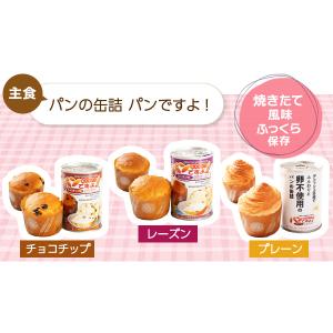 非常食セット 3日分 3日間これで安心非常食セ...の詳細画像2