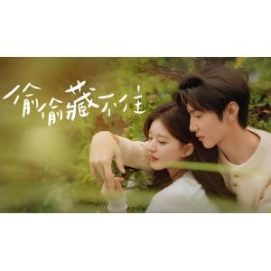 日本語字幕 中国ドラマ 「ひそかな恋模様は、曇りのち晴れ」Blu-ray
