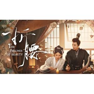日本語字幕 中国ドラマ 「The Prisoner of Beauty」Blu-ray