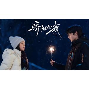 日本語字幕 中国ドラマ 「私を照らしてね」Blu-ray