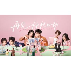 日本語字幕 中国ドラマ 「おかえり、僕の初恋」Blu-ray