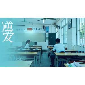 日本語字幕 中国ドラマ 「逆愛〜Revenged Love」Blu-ray