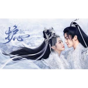 日本語字幕 中国ドラマ 「護心〜デスティニー・ラブ」Blu-ray