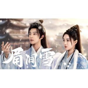日本語字幕 中国ドラマ 「雪恋歌〜悲劇に揺れる宮...の商品画像