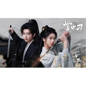 日本語字幕 中国ドラマ「掌中の刃」blu-ray