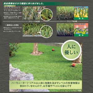 ハーモニーターフリアル 芝丈40mm・28mm...の詳細画像4