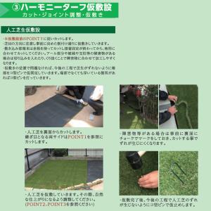 ハーモニーターフソフト 28ミリ 1m×10m...の詳細画像4