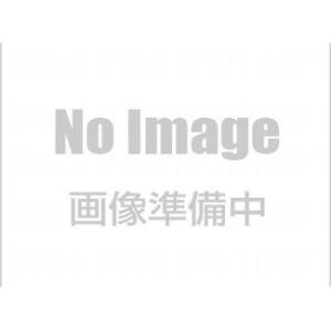 ジョリパットシーラー　JS-410 C90　白　15kg　アイカ工業