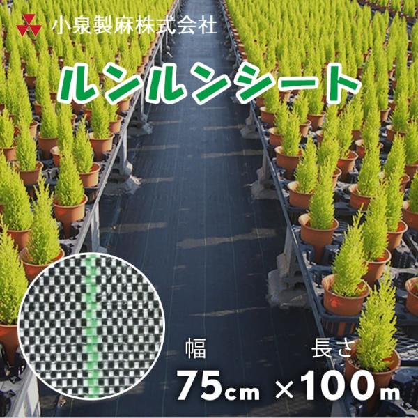 防草シート  ルンルンシート  75cm×100m／巻  白×黒  雑草 芝生 DIY 草 庭 雑草...