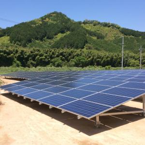雑草対策 固まる土 水をまくだけでOK マサキ...の詳細画像3