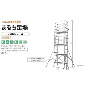 はしご 梯子 特殊はしご 昇柱用具 LC-165 ※運賃別途 株式会社ナカオ