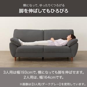 2人掛け布張りソファ(SL02 DGY) ニトリの詳細画像3