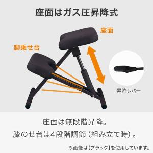 バランスチェア(JB01 WH) ニトリの詳細画像2