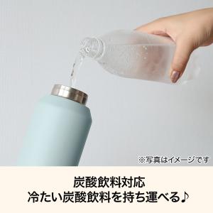 炭酸ボトル 600mL(グリーン AN530)...の詳細画像1