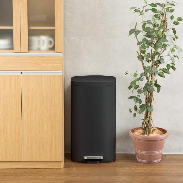 ペダルペールバゲット 30L (ブラック) ニトリ