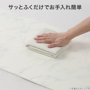 フロアマット(PE MA 45×180 NE1...の詳細画像1