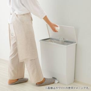 オープンワイドペダルペール 45L(ブラック)...の詳細画像5