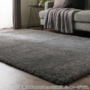 ニトリ アクセントラグ( NウィンザGY 200X285) : ニトリ Yahoo!店