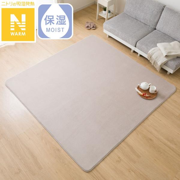 洗える!10mmウレタン入り吸湿発熱+蓄熱+保湿ラグ (Nウォーム200X240 ライトモカ gDA...
