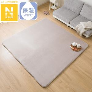 ニトリ（NITORI） 極厚30mmウレタン入り 防汚加工+防ダニ加工+防音ラグ
