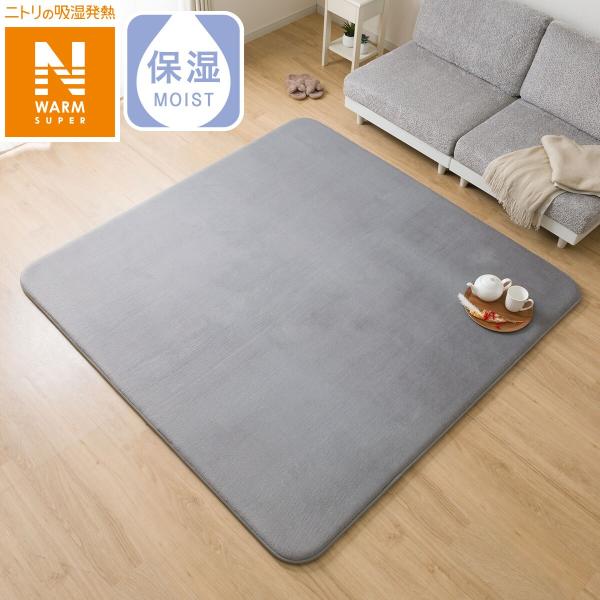 極厚30mmウレタン入り吸湿発熱+蓄熱+保湿+防音ラグ (NウォームSP185X185 グレー gD...