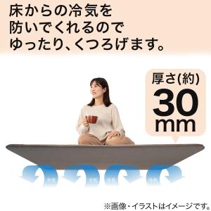 極厚30mmウレタン入り 防汚加工+防ダニ加工...の詳細画像3