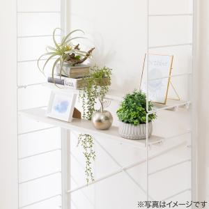 Nポルダ・Nポルダスリム用 追加棚板 奥行ハー...の詳細画像3