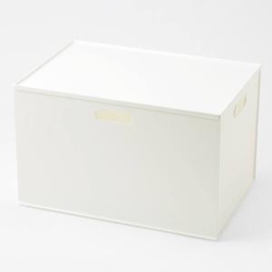 【ふた付きセット】バスケット Nインボックス2 レギュラー ホワイト　ふた付き ニトリ