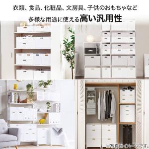 バスケット Nインボックス2 レギュラー ホワ...の詳細画像3