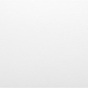Nポルダディープ2用 追加スチール棚板(幅40...の詳細画像5