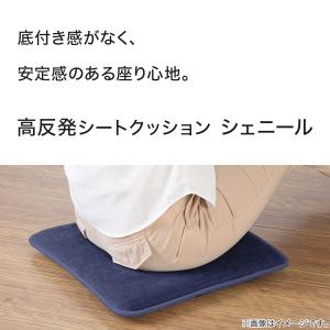高反発シートクッション(シェニール 2SQ N...の詳細画像2