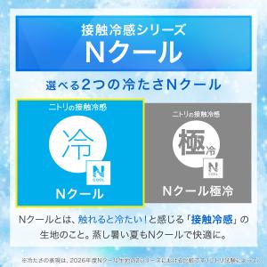 モチモチクッション(Nクール サカバンバスピス...の詳細画像1