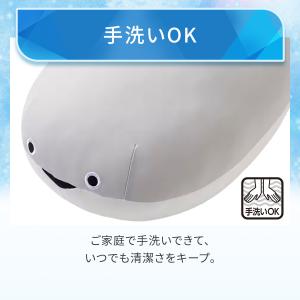 モチモチクッション(Nクール サカバンバスピス...の詳細画像4