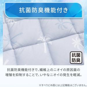 ロングチェアシート(Nクール PALM NR0...の詳細画像4
