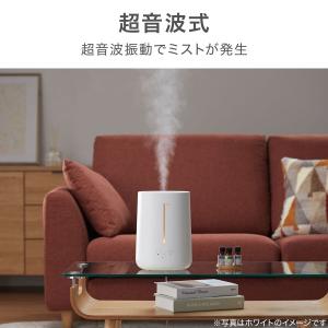 タンクを持ち運べる楽給水アロマ加湿器(HM04...の詳細画像5