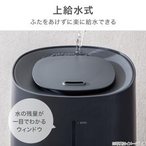 タンクを持ち運べる楽給水湿度設定加湿器(HM05D) ニトリ