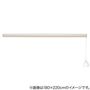 遮像・遮熱レースロールスクリーン(JY01K ...の詳細画像4