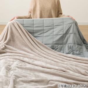 ひもなしらくらくカバー付き 重い毛布5.5kg...の詳細画像3