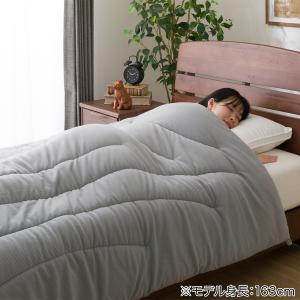 掛け布団 カバーなしで使える温度調整掛ふとん ...の詳細画像2