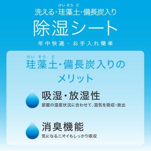 珪藻土・備長炭入り洗える除湿シート セミダブル...の詳細画像2