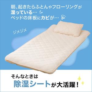 珪藻土・備長炭入り洗える除湿シート セミダブル...の詳細画像4