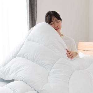 掛け布団 布団 ボリューム 抗菌防臭・防ダニ掛...の詳細画像2