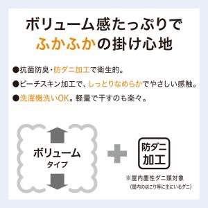 掛け布団 布団 ボリューム 抗菌防臭・防ダニ掛...の詳細画像3