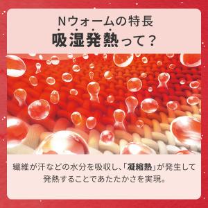 2枚合わせ 毛布 ダブル(NウォームWSP グ...の詳細画像3