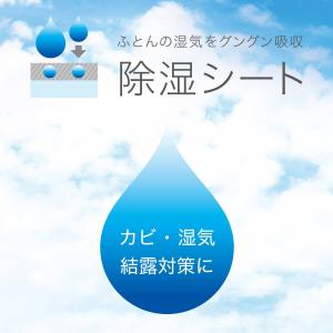 珪藻土・備長炭入り洗える除湿シート シングル(...の詳細画像1