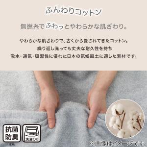 タオルケット シングル(ふんわりコットン S ...の詳細画像1