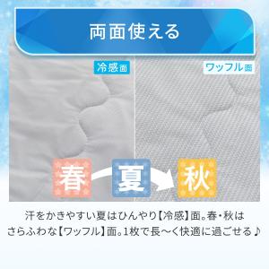 両面使える 肌ふとん シングル(Nクール ブル...の詳細画像5