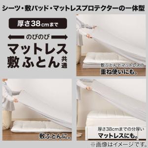 両面使える BOXパッド シングル(うるるラビ...の詳細画像3