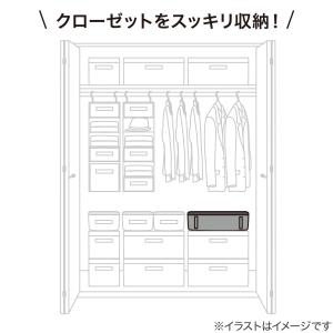 ソフト収納ボックス (EB2c01) ニトリ期...の詳細画像2