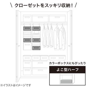 6マス可変ボックス 横型ハーフ (EB2c01...の詳細画像3